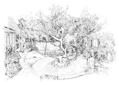 Pirton Open Gardens MBEHitchin0417025